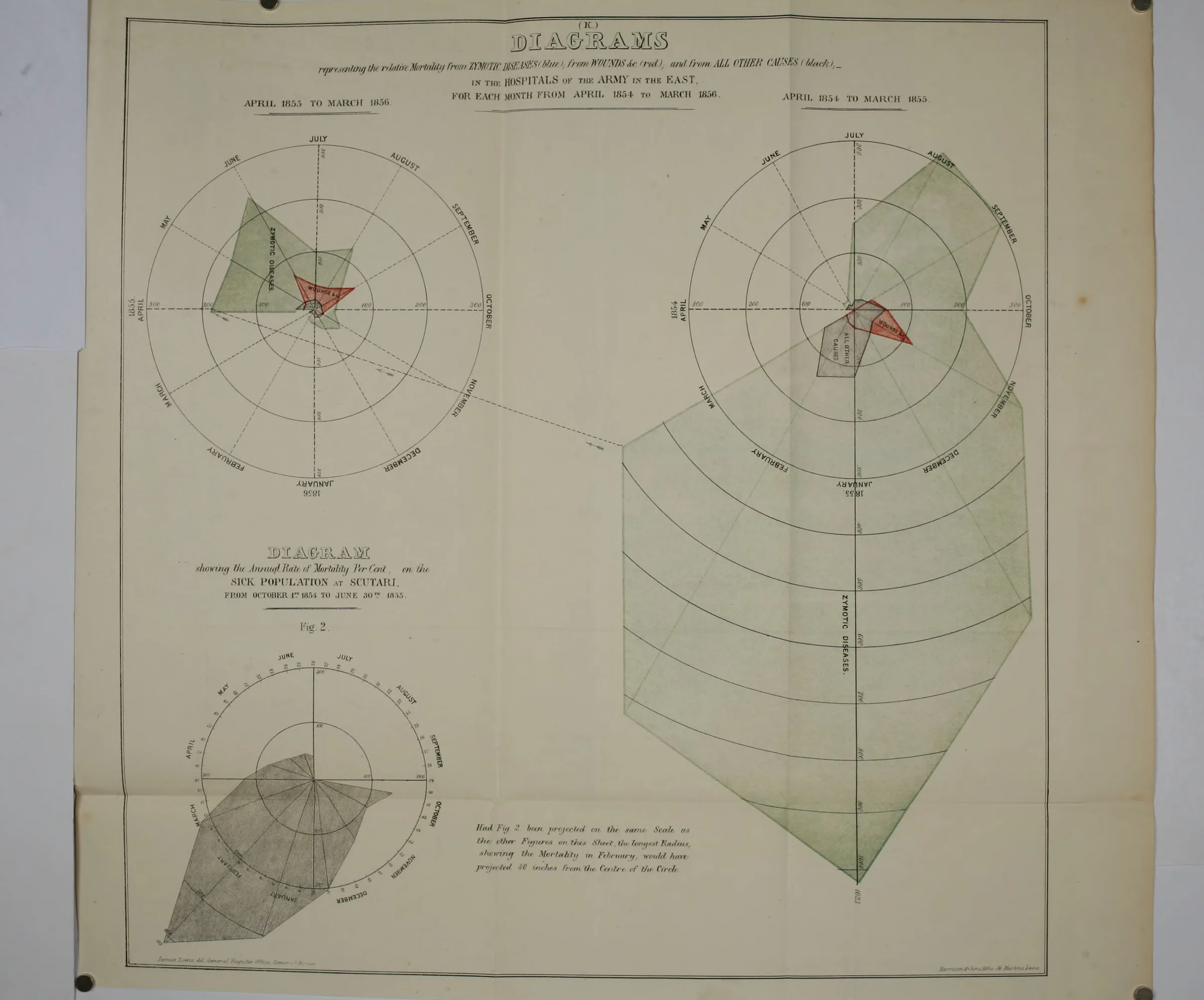 The hand coloured polar area diagram plate: twelve wedges to the year, sized by the deaths of each month in the hospitals of the army in the East, April 1854 to March 1856.