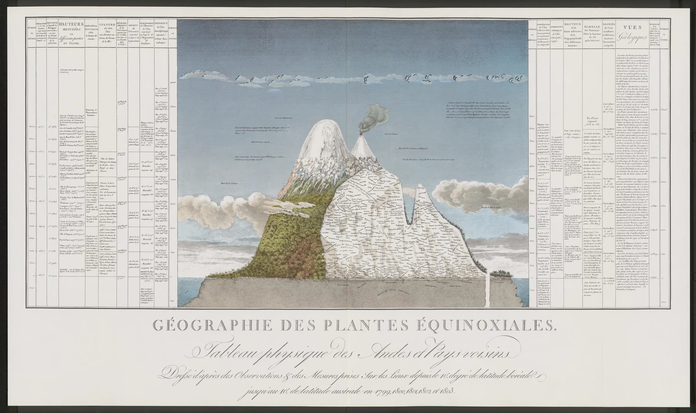 The hand coloured fold out plate: a cross section of the Andes with the plants drawn at the heights they were found, flanked by columns of the measurements taken between 1799 and 1803.